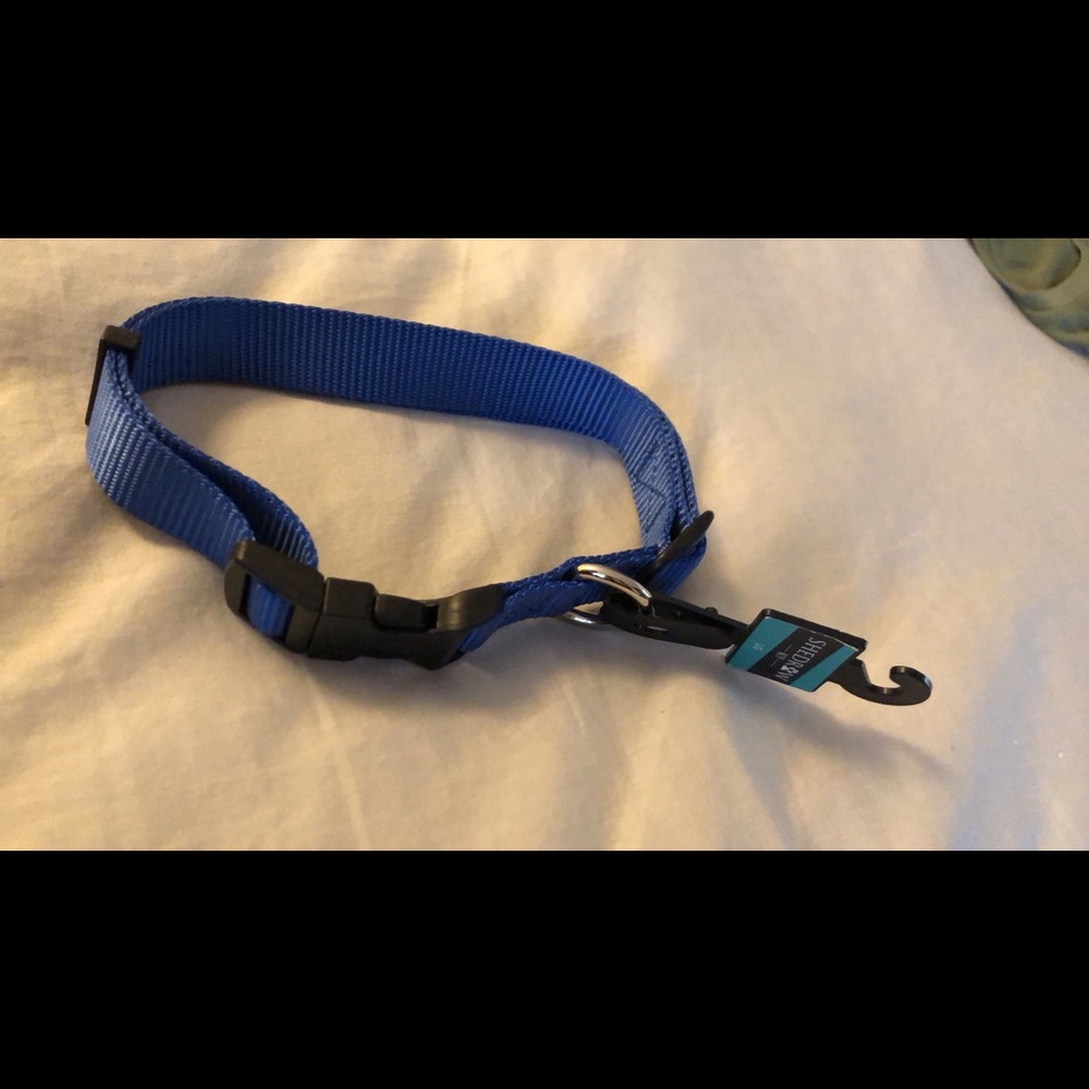 Shedrow K9 Blue Dog Collar | Large